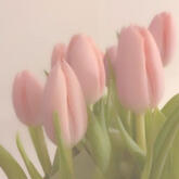 games: project sekai. genshin impact. twisted wonderland (but i can't play both games because of storage).